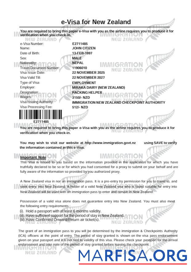 Printable New Zealand e visa template in Word and Pdf formats, version 2